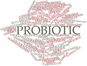 Probiotic Nutritional Value